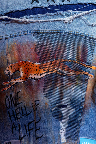 'MID-AIR MADNESS' VALKYRE HAND PAINTED JACKET